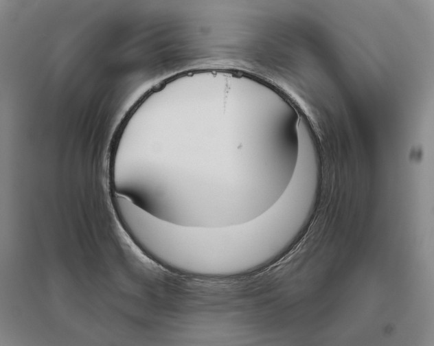 X0000096181468200802151430