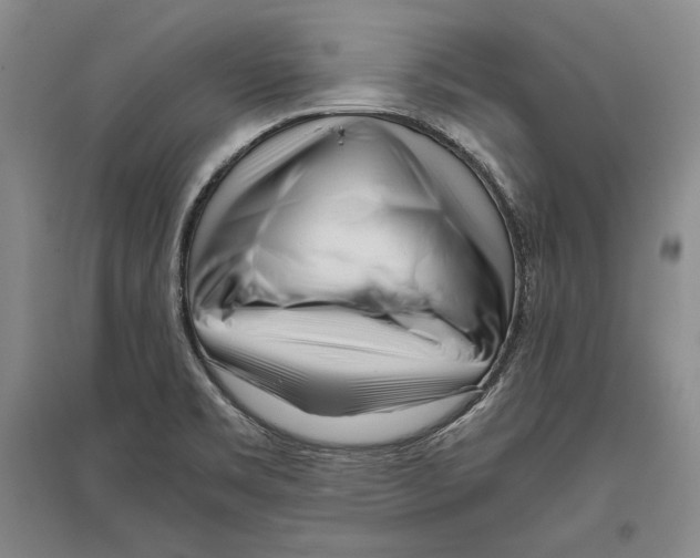 X0000096181469200802151430