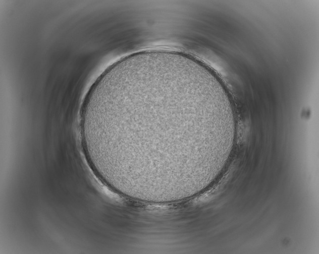 X0000096181470200802151430
