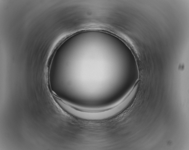 X0000096181472200802151430