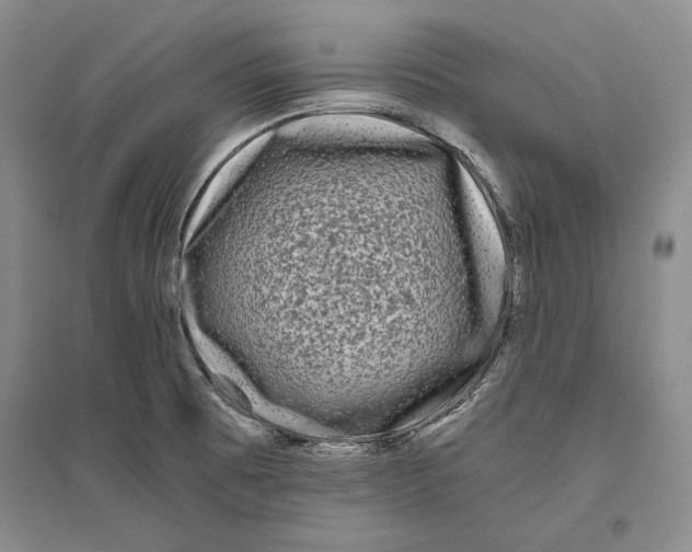 X0000096181473200802151430