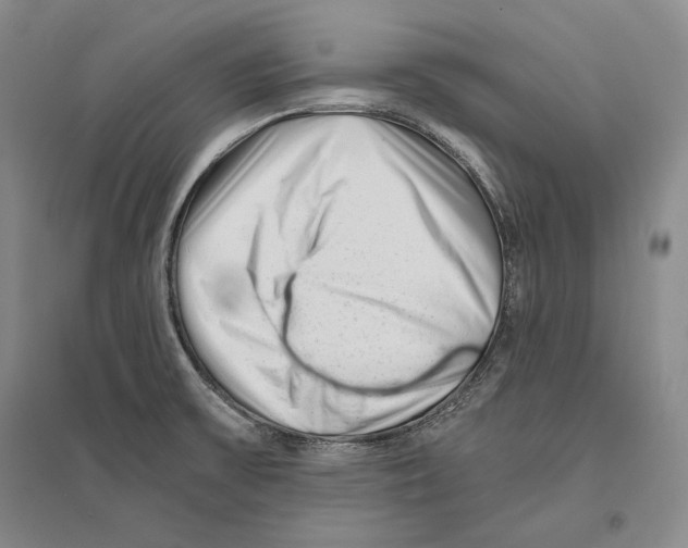 X0000096181475200802151430