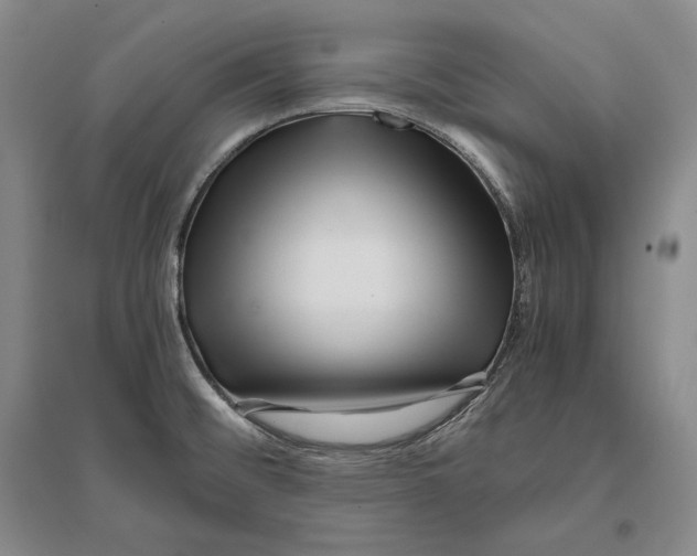 X0000096181476200802151430
