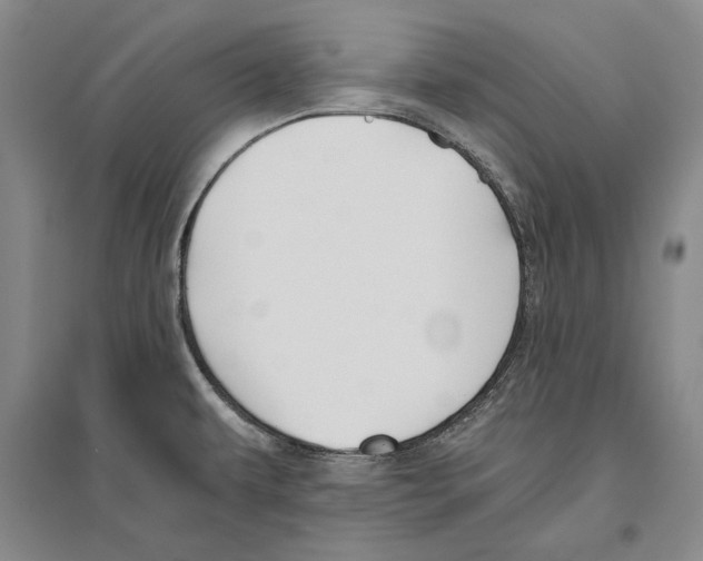 X0000096181479200802151430