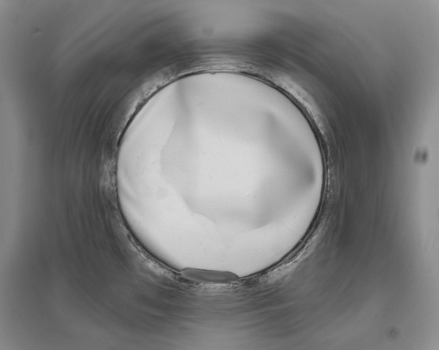 X0000096181481200802151430