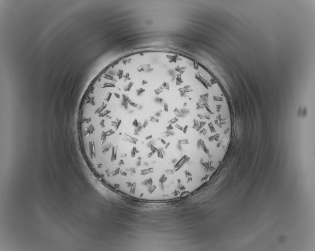 X0000096181482200802151430