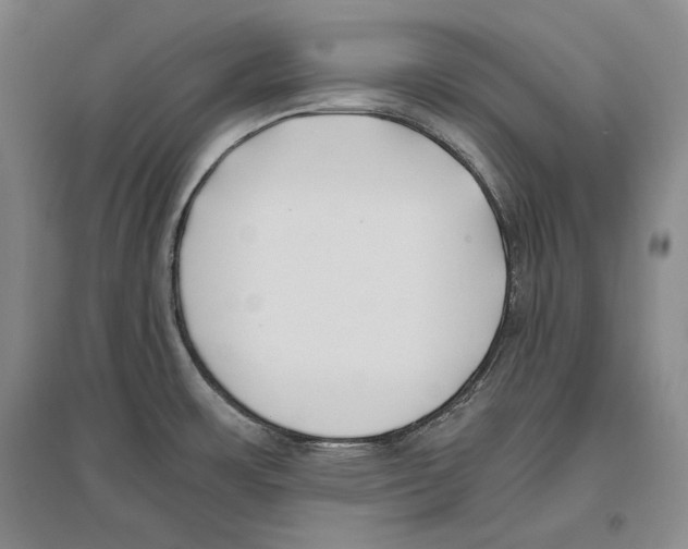 X0000096181483200802151430
