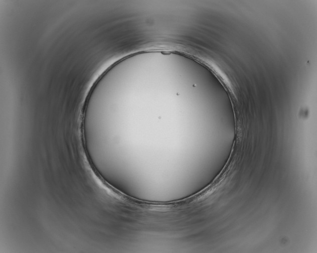 X0000096181484200802151430