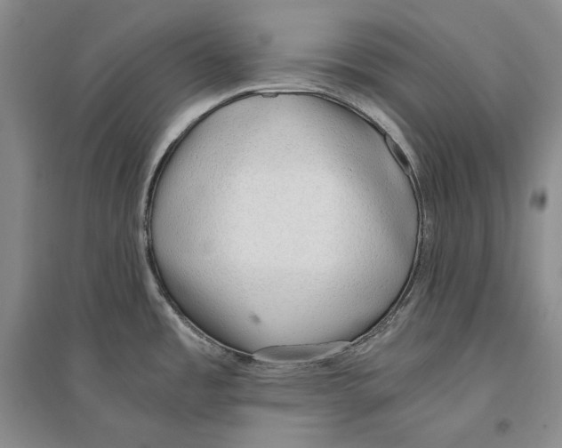 X0000096181485200802151430