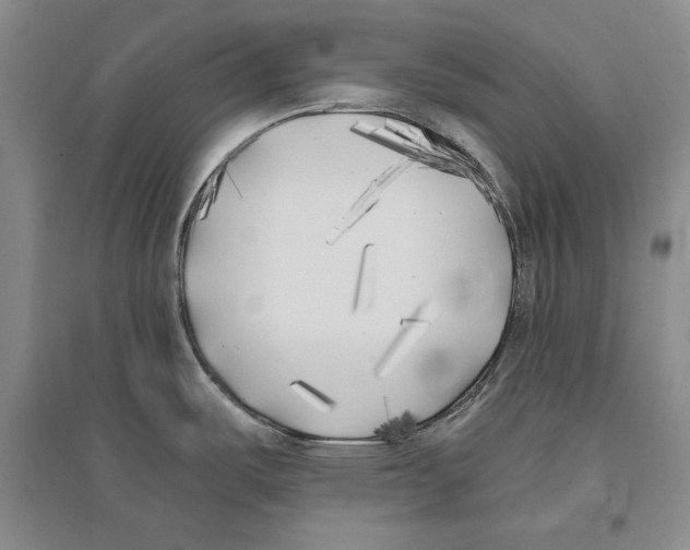 X0000096181487200802151430