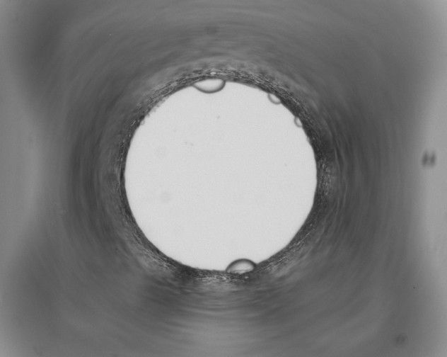 X0000096181489200802151429