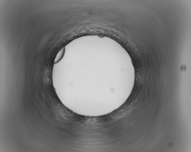 X0000096181490200802151429