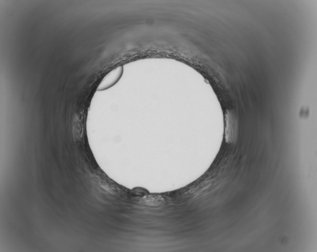 X0000096181491200802151429