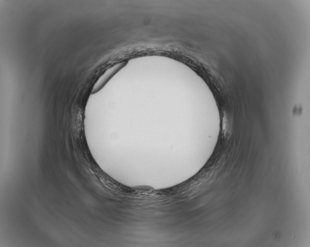 X0000096181492200802151429