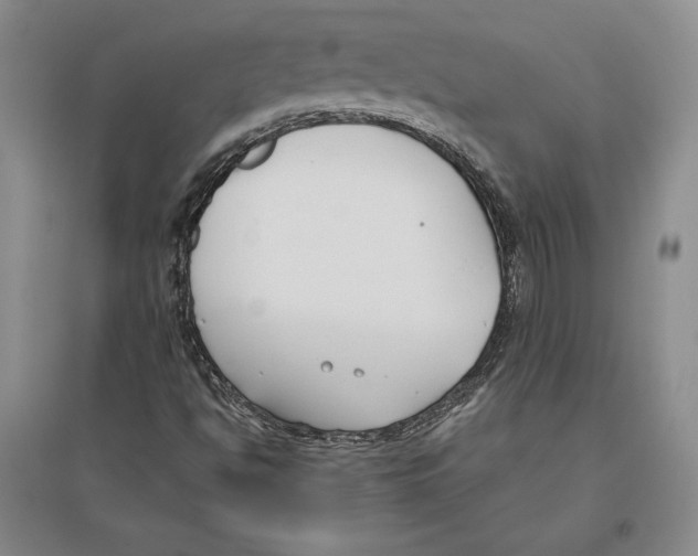 X0000096181494200802151429