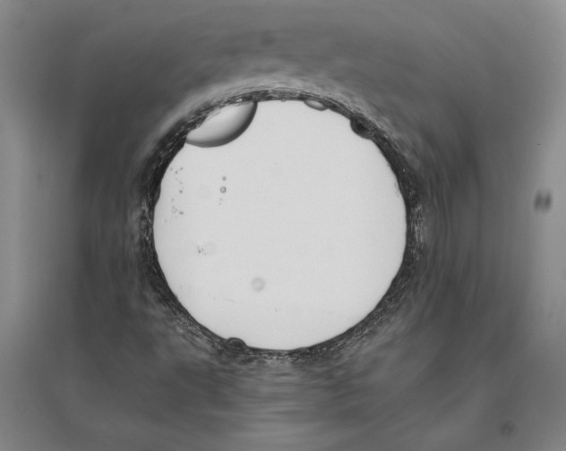 X0000096181495200802151429