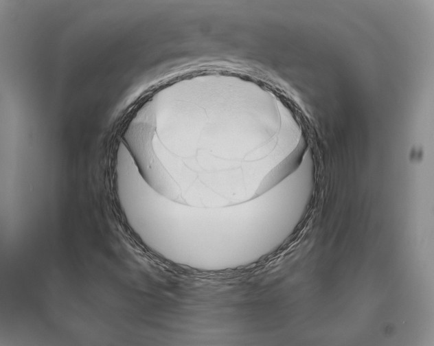 X0000096181496200802151429