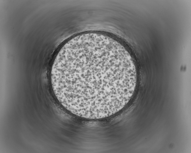 X0000096181497200802151429