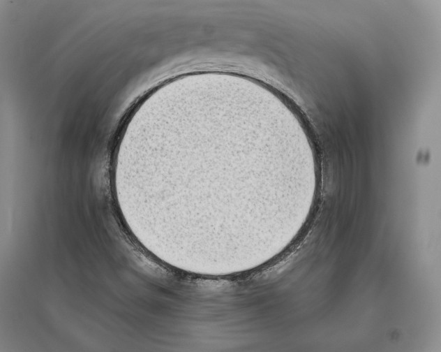 X0000096181498200802151429