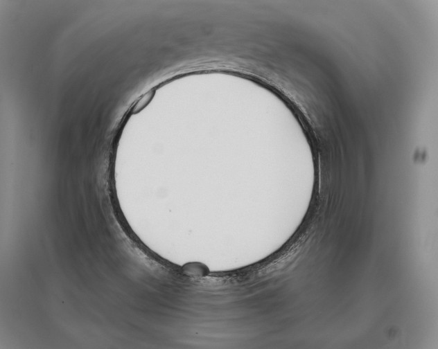 X0000096181500200802151429