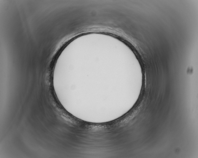 X0000096181501200802151429