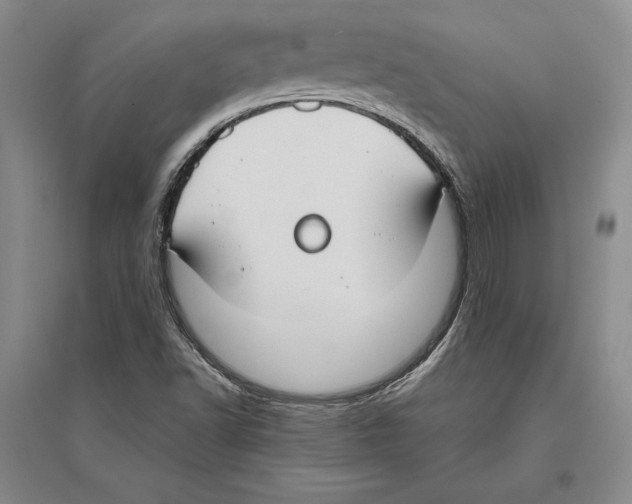 X0000096181502200802151429