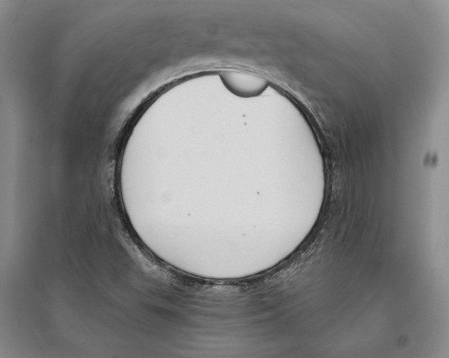 X0000096181503200802151429