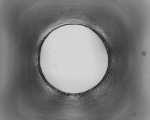 X0000096181504200802151429