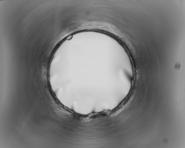 X0000096181505200802151429