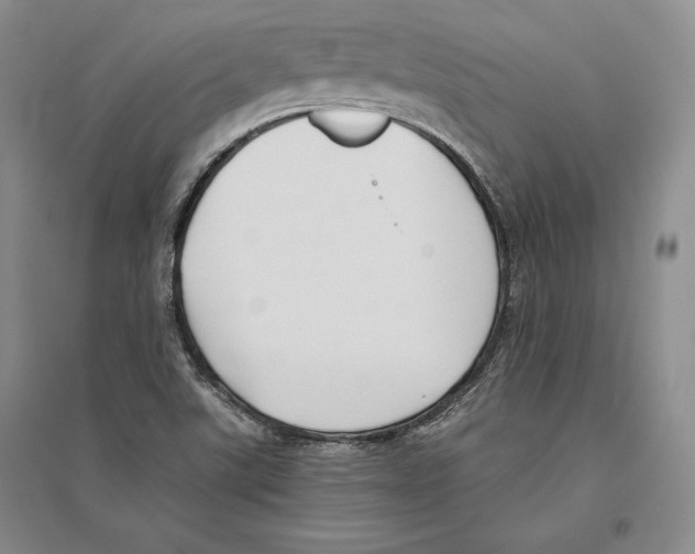 X0000096181507200802151429