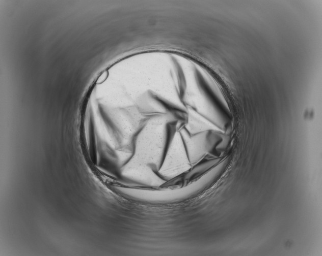 X0000096181508200802151429
