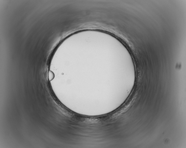 X0000096181509200802151429