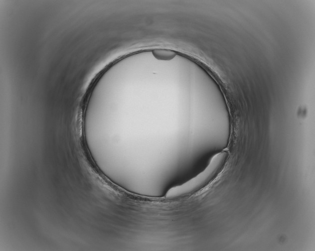 X0000096181510200802151429