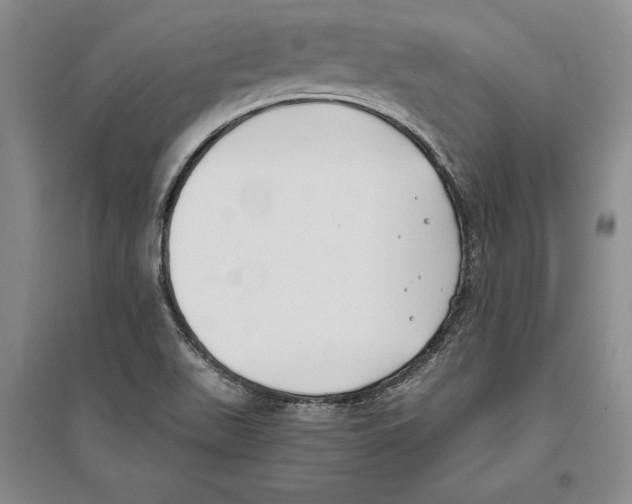 X0000096181511200802151429