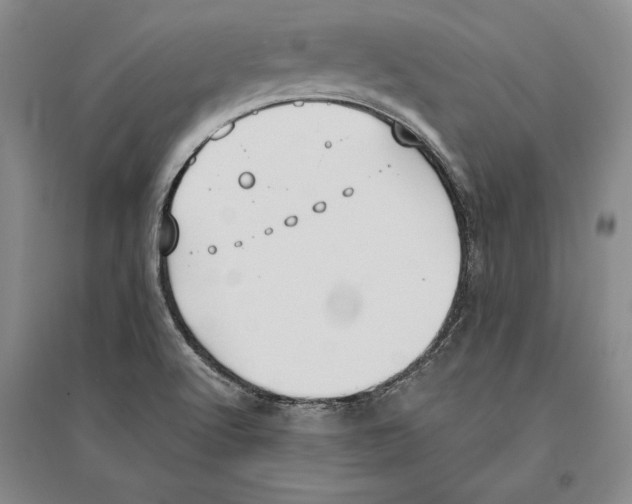 X0000096181512200802151429