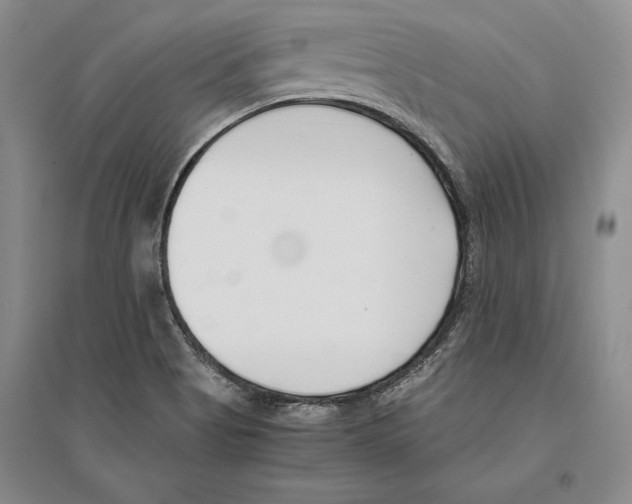 X0000096181513200802151429