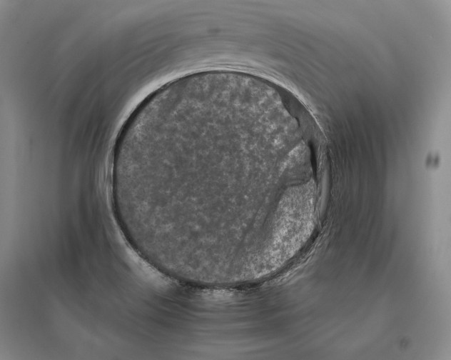X0000096181515200802151429