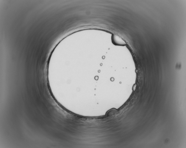 X0000096181516200802151429