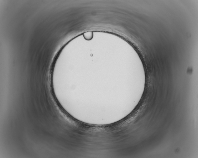 X0000096181517200802151429