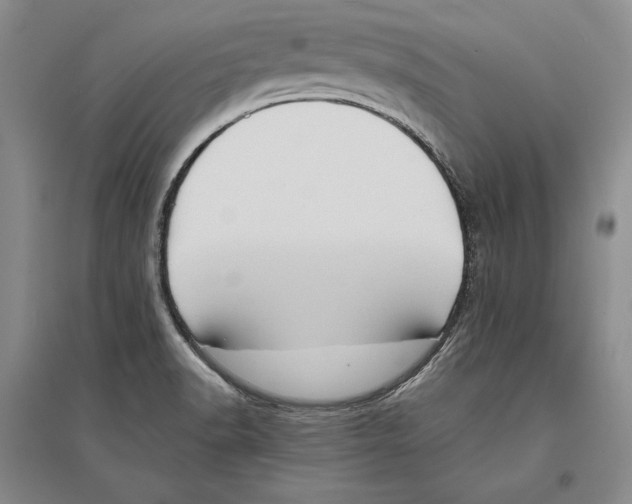 X0000096181518200802151429