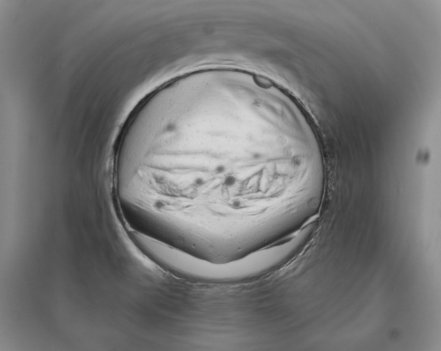 X0000096181519200802151429