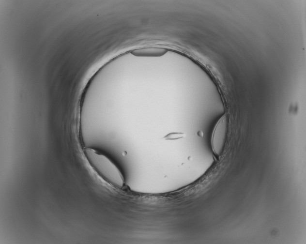 X0000096181520200802151429