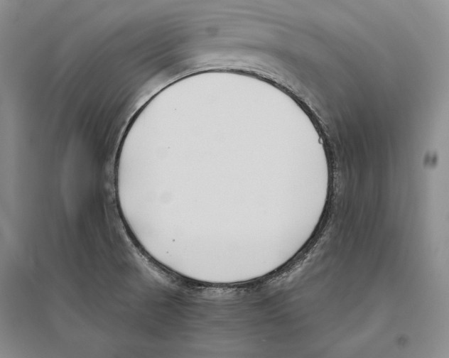 X0000096181521200802151429