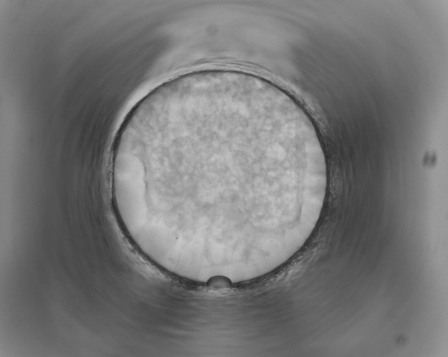 X0000096181522200802151429