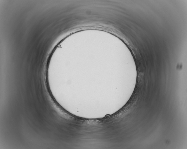 X0000096181523200802151429