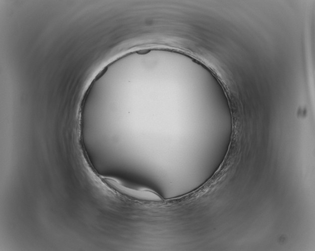 X0000096181524200802151430