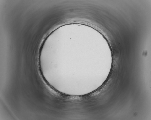 X0000096181525200802151430