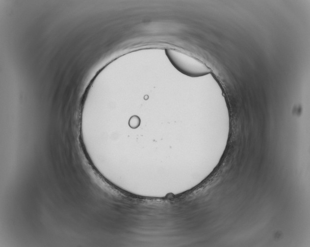 X0000096181526200802151430