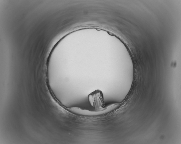 X0000096181527200802151430