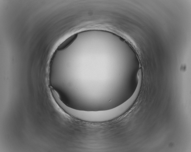X0000096181528200802151430